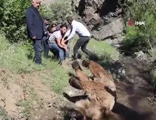 E­r­z­u­r­u­m­’­d­a­ ­ç­o­b­a­n­a­ ­a­y­ı­ ­s­a­l­d­ı­r­d­ı­ ­-­ ­S­o­n­ ­D­a­k­i­k­a­ ­H­a­b­e­r­l­e­r­